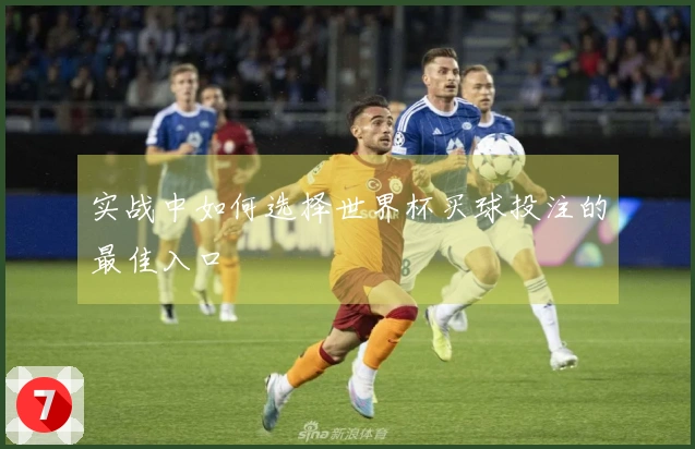 实战中如何选择世界杯买球投注的最佳入口