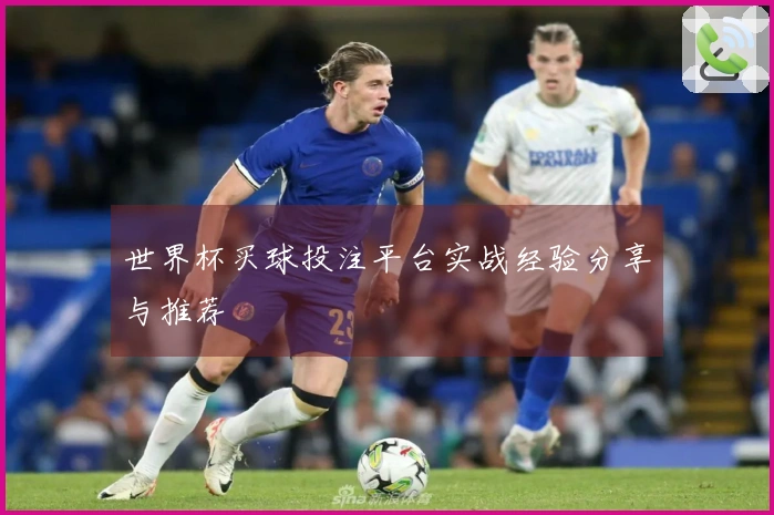世界杯买球投注平台实战经验分享与推荐