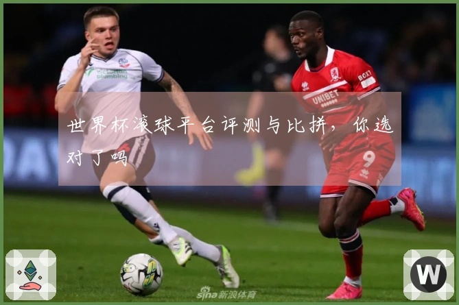 世界杯滚球平台评测与比拼，你选对了吗