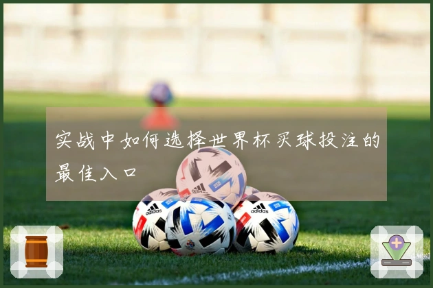 实战中如何选择世界杯买球投注的最佳入口