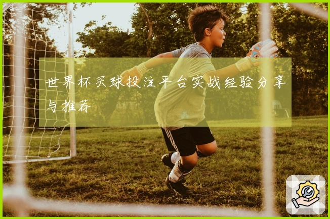世界杯买球投注平台实战经验分享与推荐