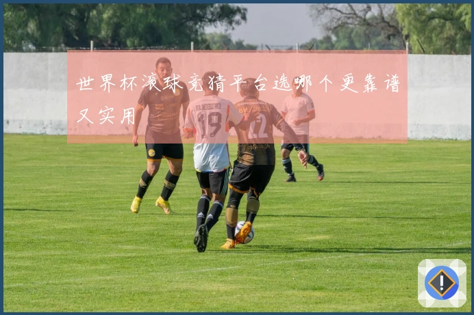 世界杯滚球竞猜平台选哪个更靠谱又实用