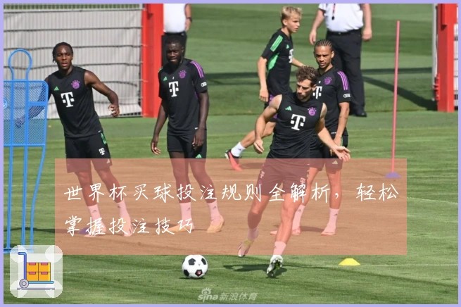 世界杯买球投注规则全解析，轻松掌握投注技巧