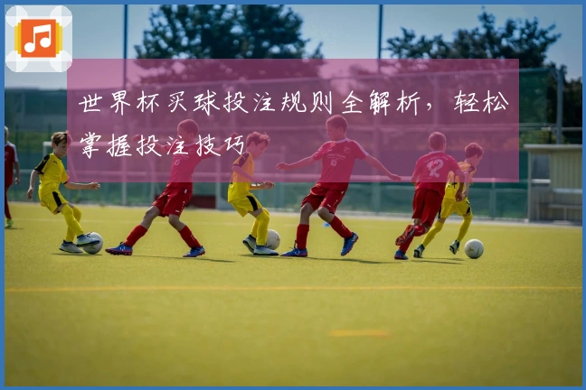 世界杯买球投注规则全解析，轻松掌握投注技巧