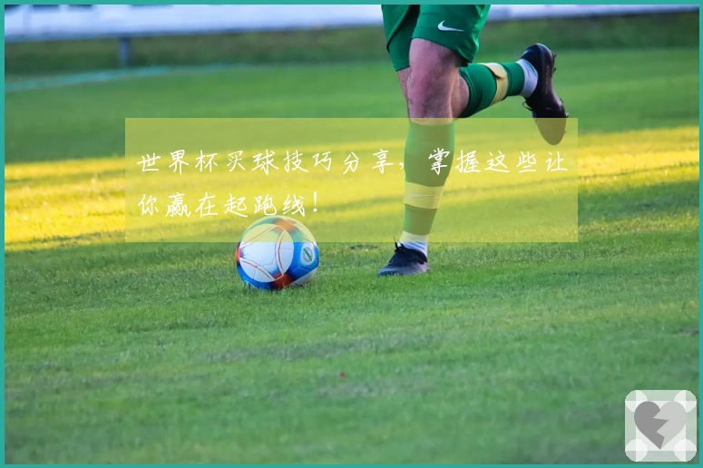 世界杯买球技巧分享，掌握这些让你赢在起跑线！